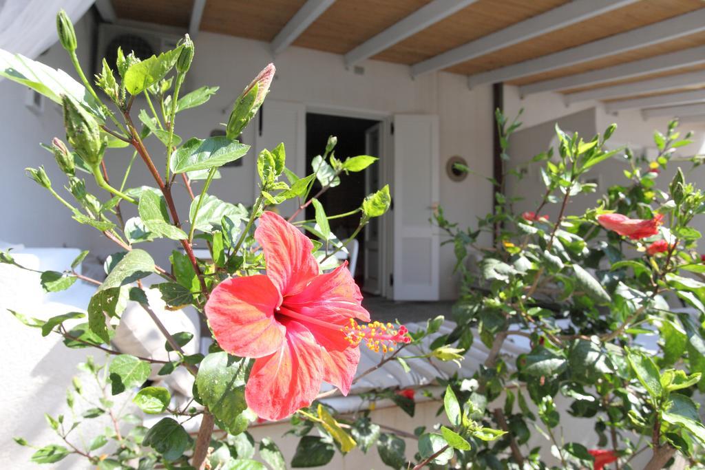 Villa Sea Rose Lípara Quarto foto